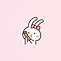 Image result for Cute White Bunny Funny