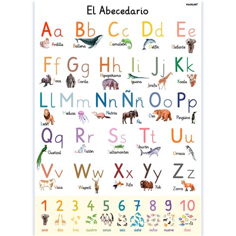El Alfabeto En Espanol Para Ninos Alfabeto Completo Para Niños Con