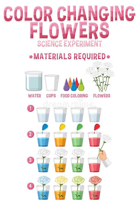 Image result for Color Changing Experiment