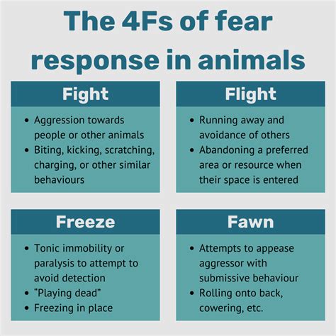 What is fawn behaviour in animals? Blog by AnimalConcepts