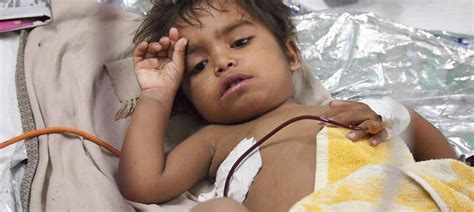 In the news: Encephalitis continues to kill, the UN calls for better ...