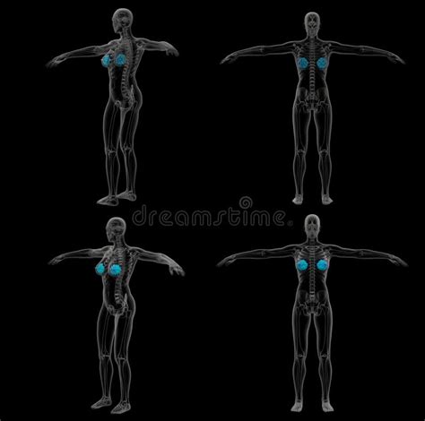 Bing Ai Art Mammary 的图像结果