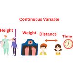 Continuous or discrete variable Examples of Continuous Variables 的图像结果