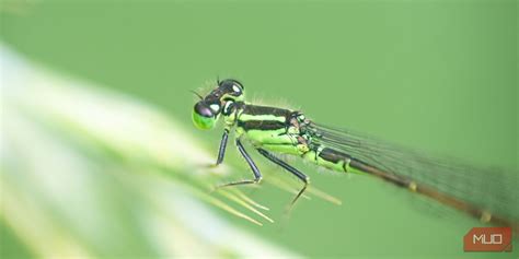 Image result for Stacking Methods in Photoshop