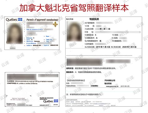 牛女士持有加拿大国外驾照，翻译认证后成功在南京国外驾照换中国驾照