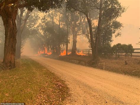 CFA volunteers hit back at reports they didn’t do a good enough job ...
