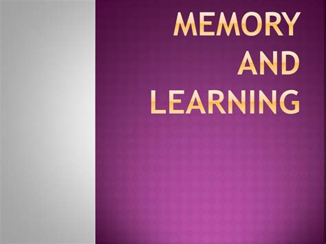 Image result for Memory and Learning