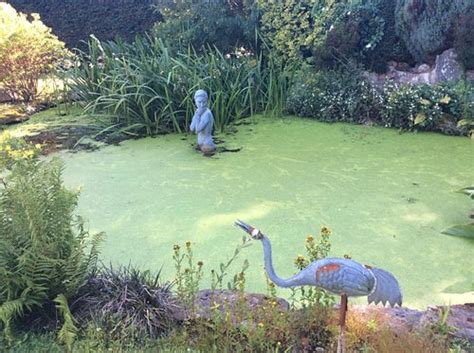 WESTWATERHEAD (Kingsbridge, Devon) - B&B Reviews, Photos, Rate ...