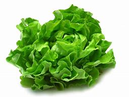 Image result for lettuces