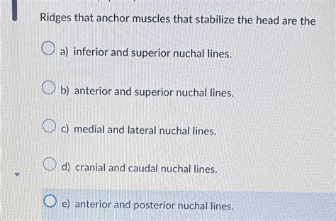 Solved Ridges that anchor muscles that stabilize the head | Chegg.com