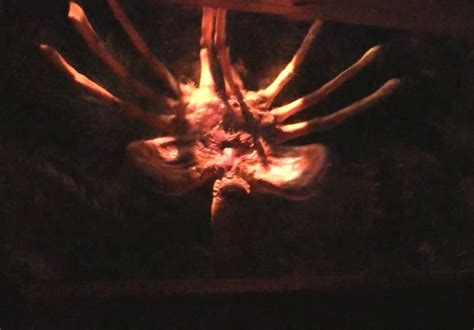 Image result for Alien vs Predator Haunted House