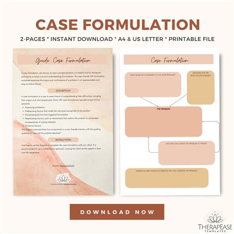Image result for Case Formulation Timeline