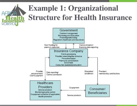 Structure of Pap Insurance 的图像结果