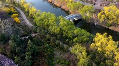 ディアステージ深井水賀池公園 - ディアステージ深井水賀池公園