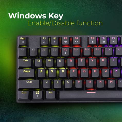 ZEBRONICS Nitro Plus Mechanical Keyboard Black (K4100M) – Indian Hobby ...