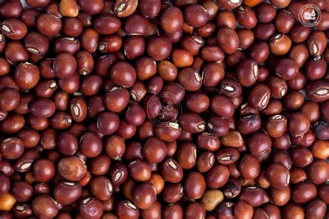 Whole Pigeon Pea / Toor – OOO Farms