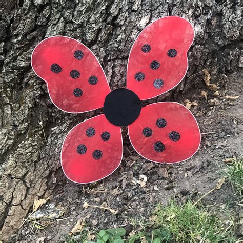 Ladybug Wings Costume