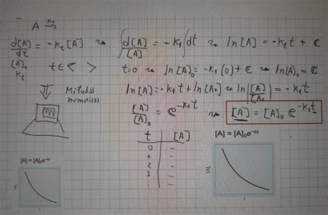 Image result for Calculus Model