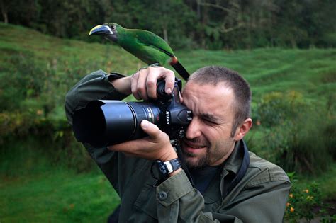 Wildlife Photography Nature