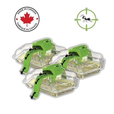 Ant Trap for Indoor and Outdoor Use - Liquid Ant Killer Bait - 3 Pack ...