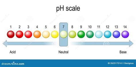 PH Scale Explained 的图像结果