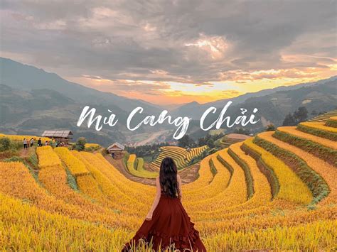 Buy High-Quality Mu Cang Chai Vietnam Wallpaper Online | Happywall