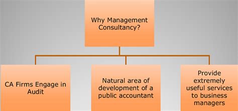 Management Consultancy Services u/s-144 of Companies Act 2013