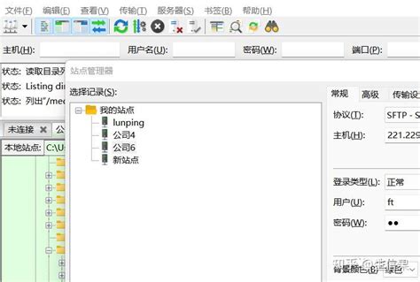 FileZilla Tutorial 的图像结果