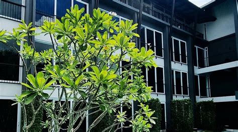 KIRI HOTEL (Chiang Mai) - Hotel Reviews, Photos, Rate Comparison ...