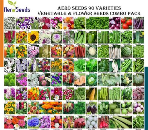 Flower Seeds Online in India | Flipkart | 08-Oct-25