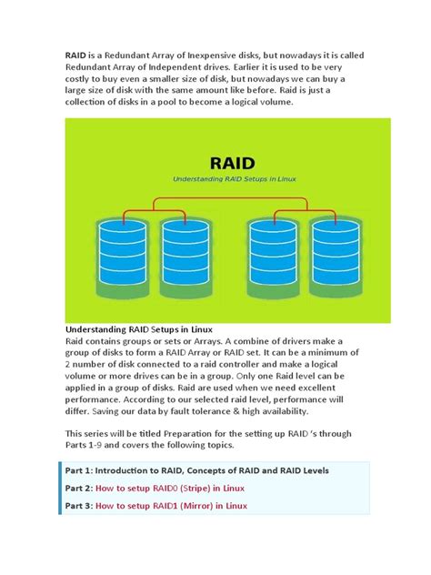 Image result for Raid Array Components Diagram