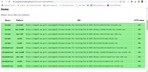 How to Use Selenium to Do Test Automation with Chrome Driver 的图像结果