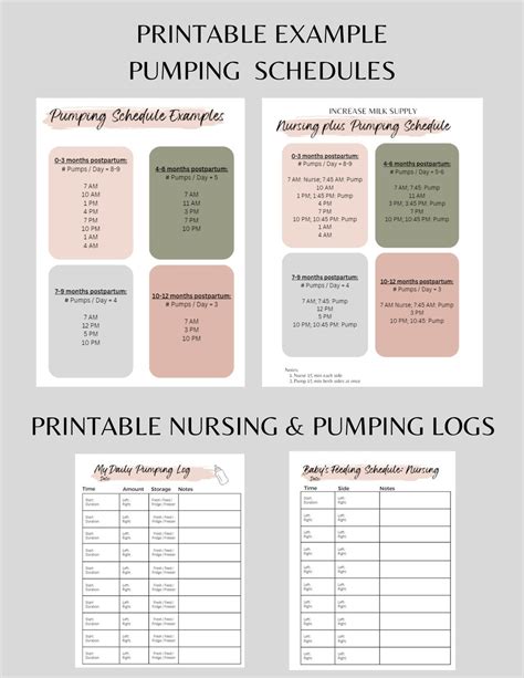 Breastfeeding and Pumping Log WITH Example Schedules & BONUS - Etsy