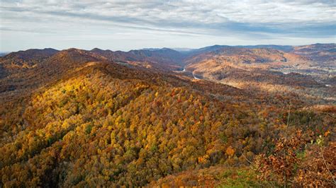 Pristine Kentucky Fern Lake to become part of Cumberland Gap ...
