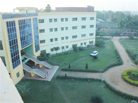 ACTIVITIES | CAMELLIA INSTITUTE OF TECHNOLOGY & MANAGEMENT | HALDER ...