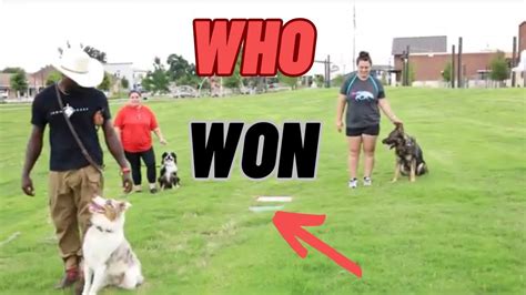 Image result for Simpons Teating the Dogs