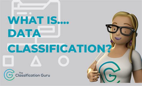 Image result for Data Classification Training