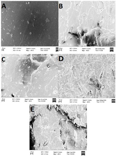Cellulose Nanofibers Isolated from the Cuscuta Reflexa Plant as a Green ...