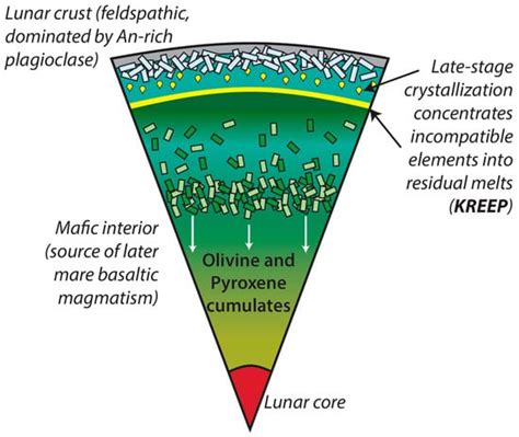 Rare Earth Elements in Planetary Crusts: Insights from Chemically ...