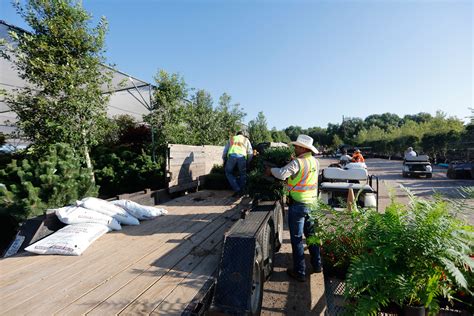 Southwest Nursery | Wholesale Landscaping Supplies | Dallas | Fort Worth