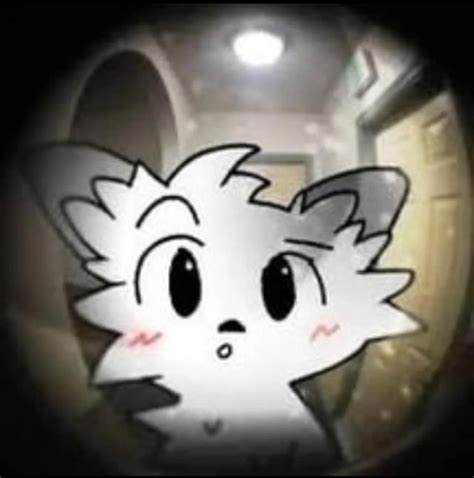 Open na noor :3 : r/StanleyMOV