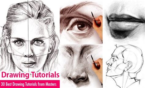 Image result for How to Learn Drawing Methods