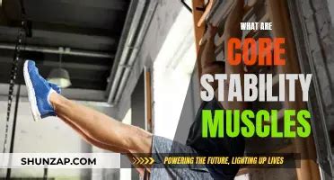 Rezultat imagine pentru Core Stability Muscles