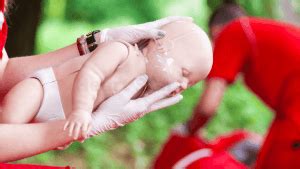 Image result for Pediatric BLS Algorithm Card