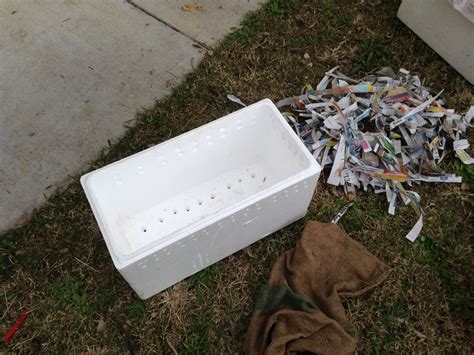 Basement Worm Farm 的图像结果