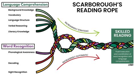 Understanding Scarborough's Reading Rope - The Daily Alphabet