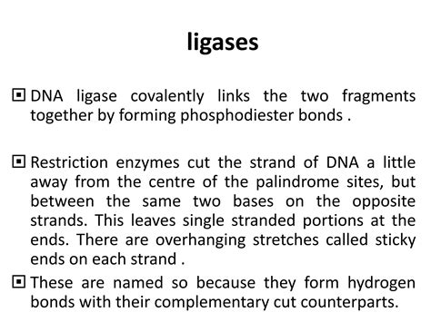 Recombinant DNA Technology | PPT