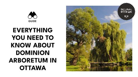 Here's What You Should Know about the Dominion Arboretum [2026]