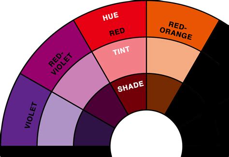 Image result for Color Wheel Design