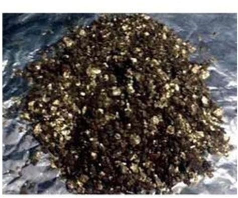 Mycorrhizal Fertilizer Manufacturer, Supplier from Gondia